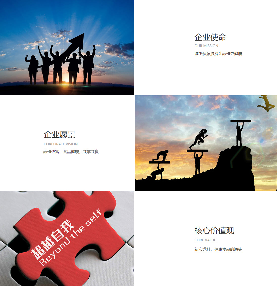 彩神vii官网(图1)